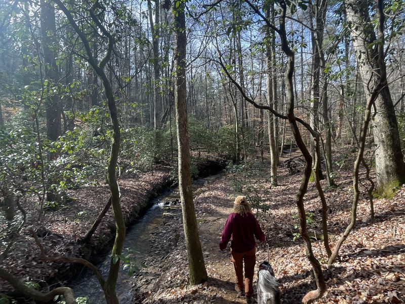 Trainer profile photo 2