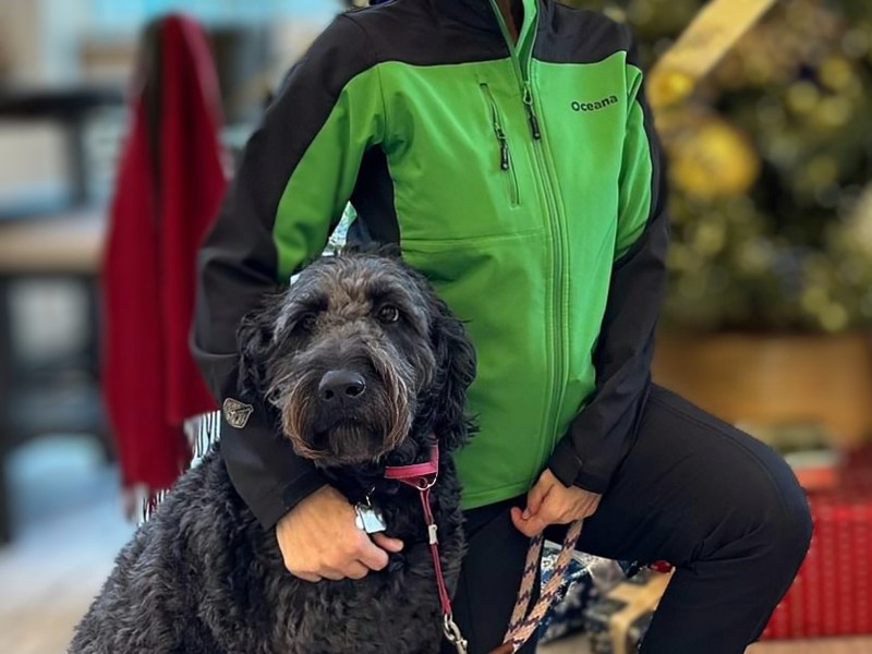 Trainer profile photo 3