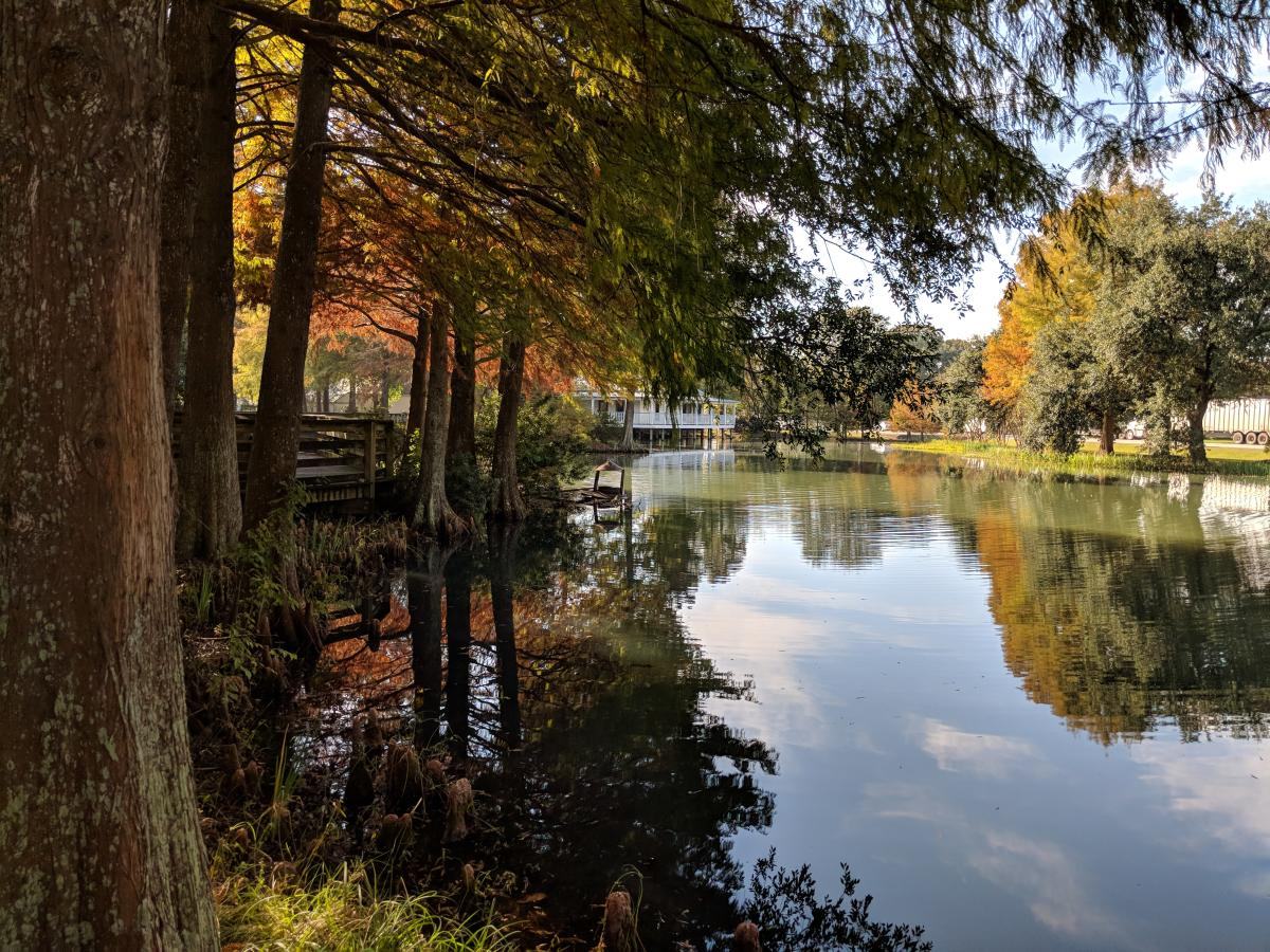 Visitor center in Lafayette, Louisiana